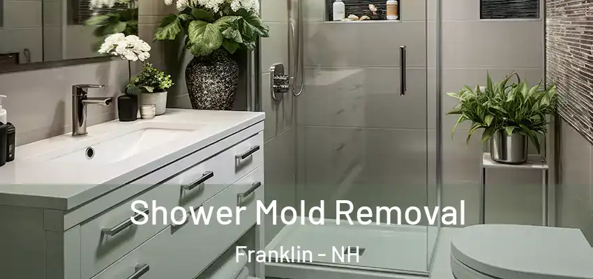 Shower Mold Removal Franklin - NH