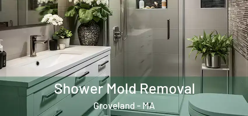  Shower Mold Removal Groveland - MA
