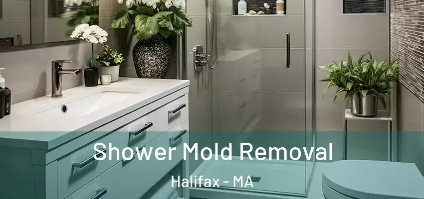  Shower Mold Removal Halifax - MA