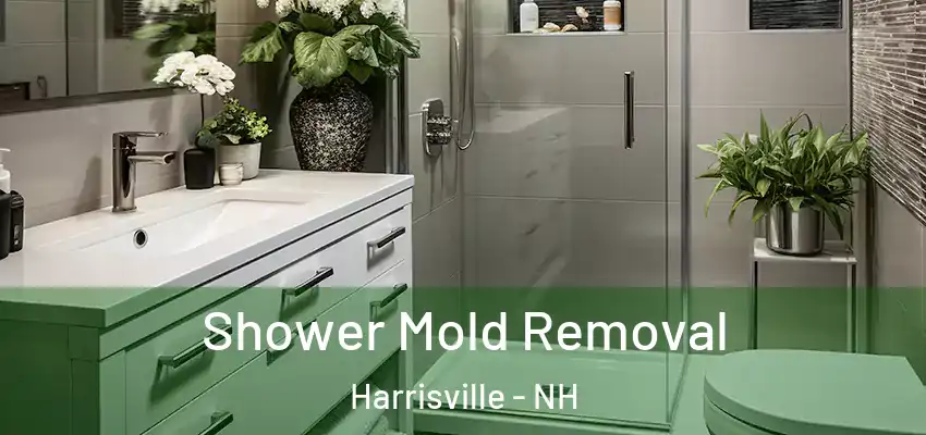  Shower Mold Removal Harrisville - NH