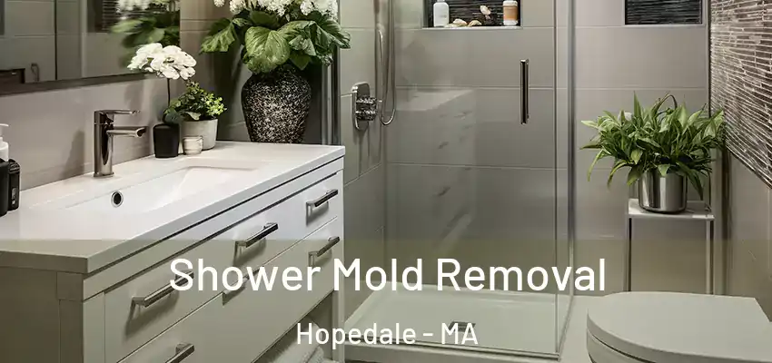Shower Mold Removal Hopedale - MA