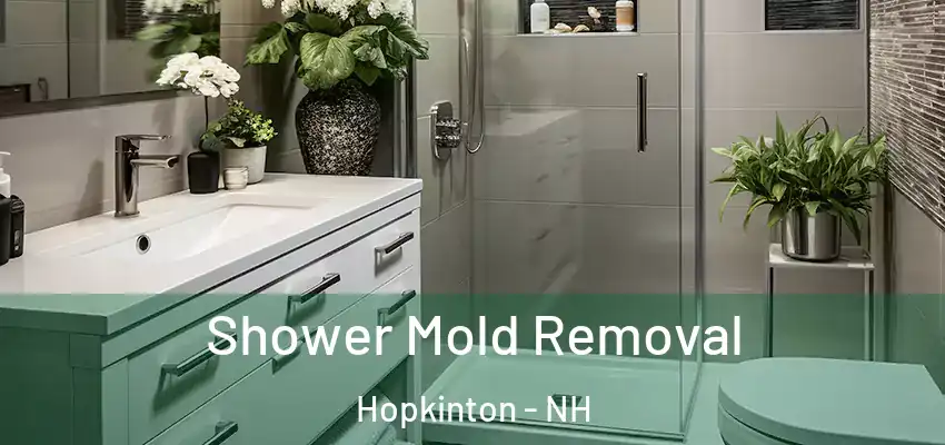 Shower Mold Removal Hopkinton - NH
