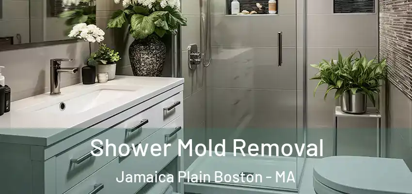 Shower Mold Removal Jamaica Plain Boston - MA