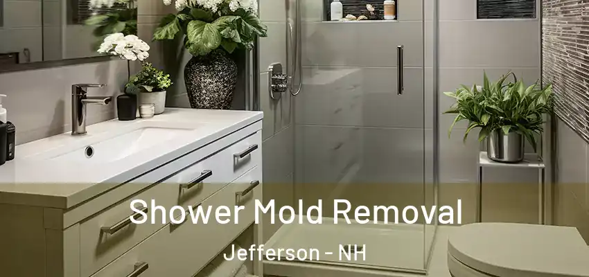 Shower Mold Removal Jefferson - NH