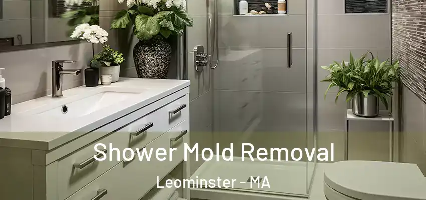 Shower Mold Removal Leominster - MA