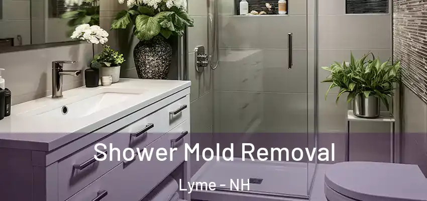  Shower Mold Removal Lyme - NH
