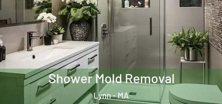  Shower Mold Removal Lynn - MA