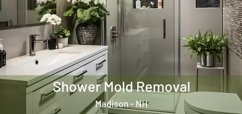  Shower Mold Removal Madison - NH
