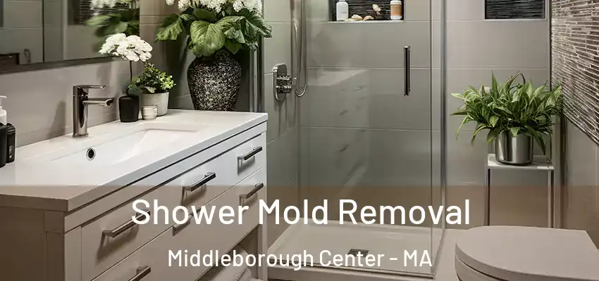 Shower Mold Removal Middleborough Center - MA