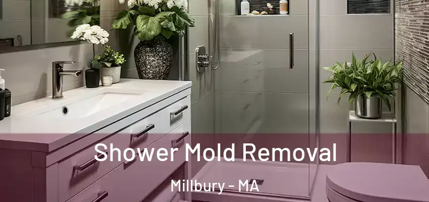  Shower Mold Removal Millbury - MA