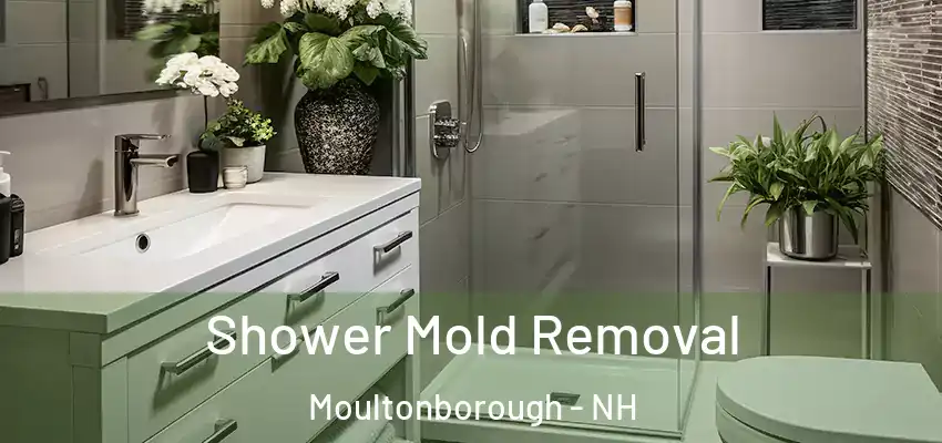  Shower Mold Removal Moultonborough - NH