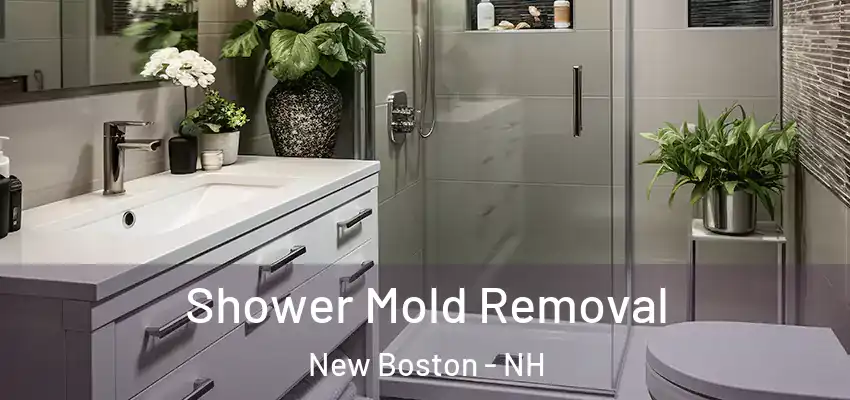 Shower Mold Removal New Boston - NH