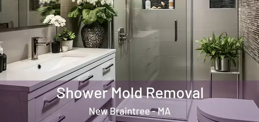  Shower Mold Removal New Braintree - MA