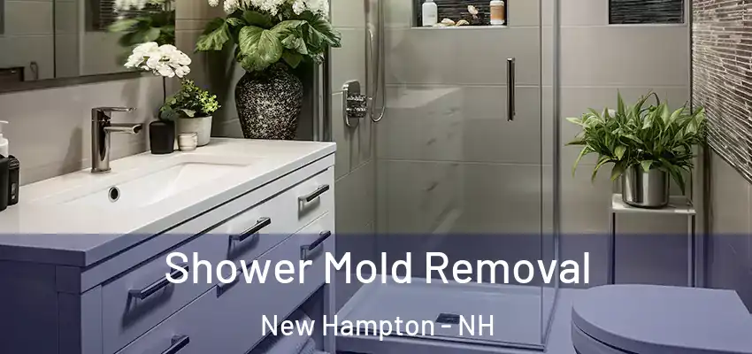 Shower Mold Removal New Hampton - NH
