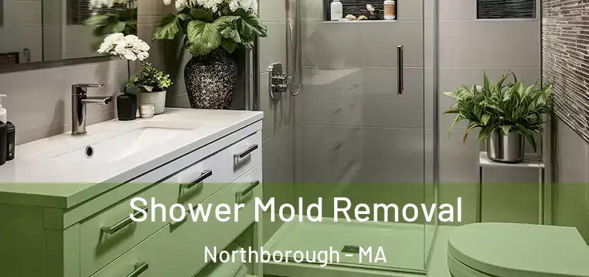 Shower Mold Removal Northborough - MA