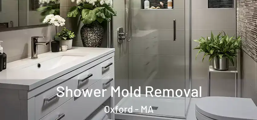  Shower Mold Removal Oxford - MA