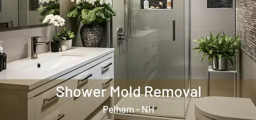  Shower Mold Removal Pelham - NH