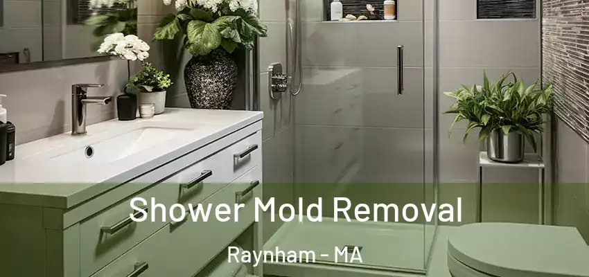  Shower Mold Removal Raynham - MA