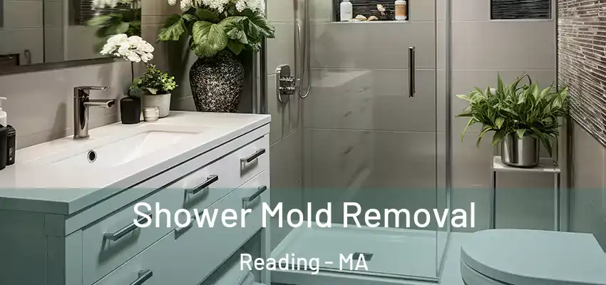 Shower Mold Removal Reading - MA