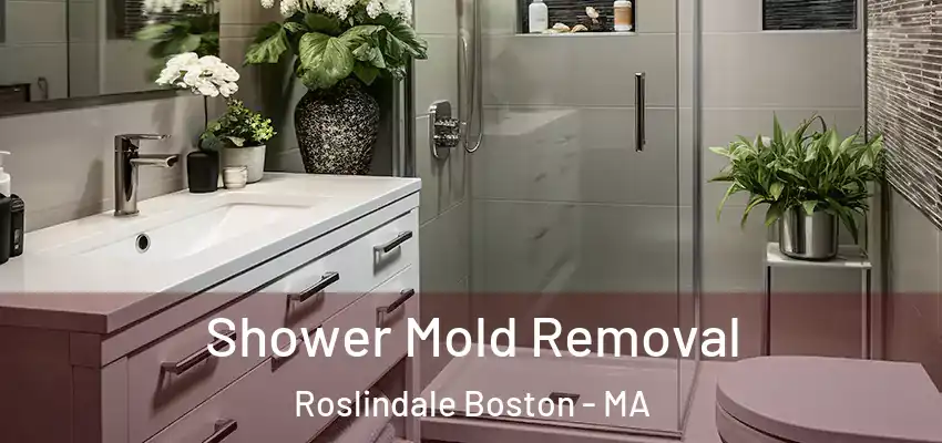  Shower Mold Removal Roslindale Boston - MA
