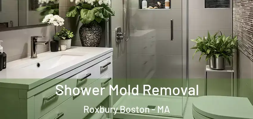 Shower Mold Removal Roxbury Boston - MA