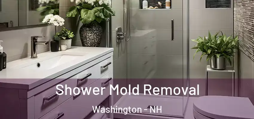  Shower Mold Removal Washington - NH