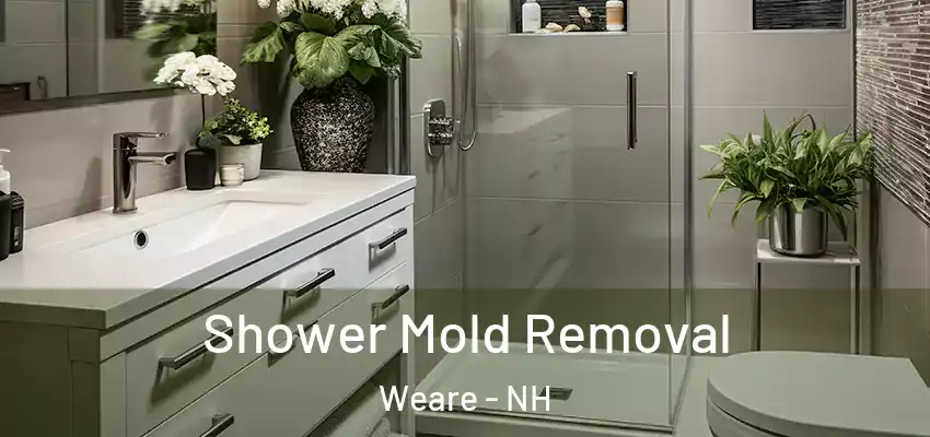  Shower Mold Removal Weare - NH