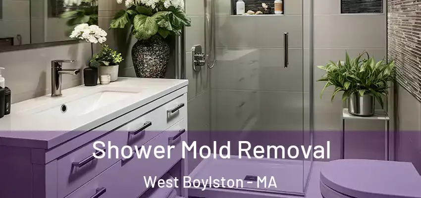 Shower Mold Removal West Boylston - MA