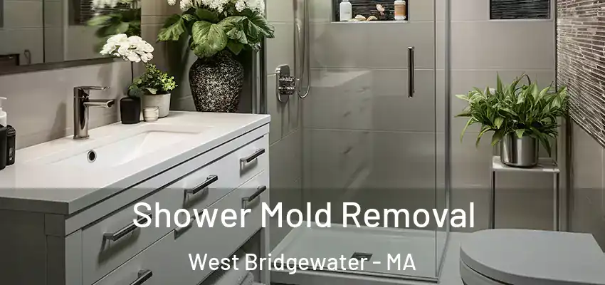  Shower Mold Removal West Bridgewater - MA