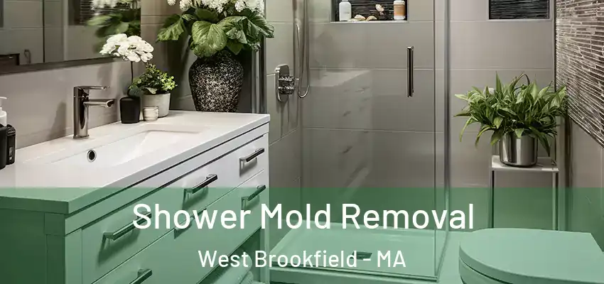  Shower Mold Removal West Brookfield - MA