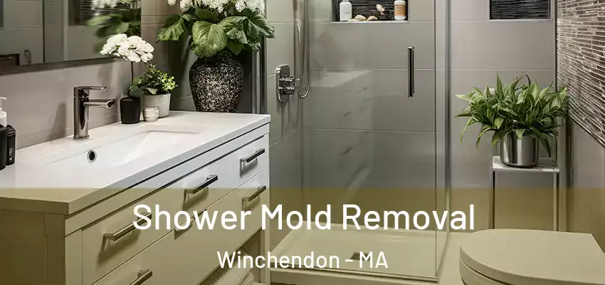 Shower Mold Removal Winchendon - MA